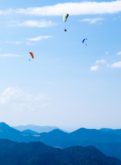 paraglider