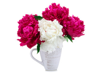 a bouquet of red and white peony isolated on white background in vase