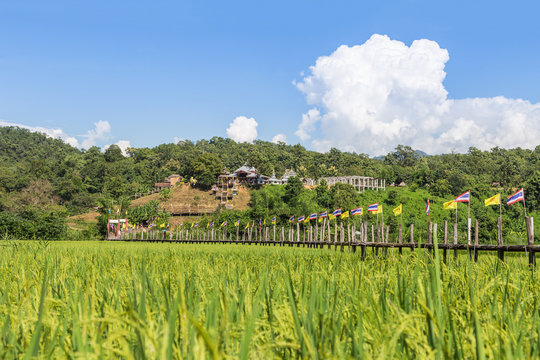 Zu tong pae longest bamboo bridge at mae hong son thailand