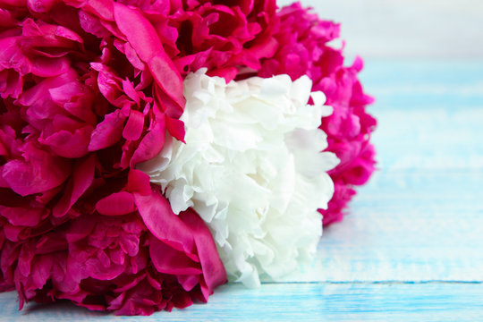 a bouquet of red and white peony on a blue wooden background