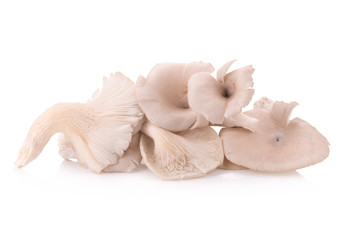 Mushroom on white background.