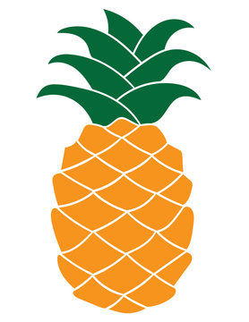 Flat pineapple icon isolated on white background.
