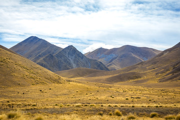 scenic on highway road in New Zealand