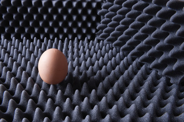 Safe egg concept