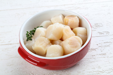 Raw scallops