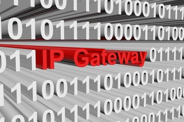 The IP gateway in the form of binary code, 3D illustration