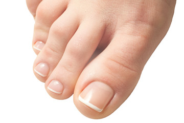 pedicure  macro closeup
