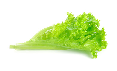 Lettuce salad isolated on white background © nipaporn