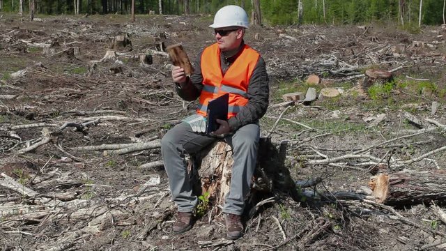 Environmental inspector check piece of wood in the destroyed forest 