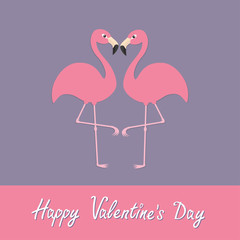 Happy Valentines day. Pink flamingo couple neck heart shape. Exotic tropical bird. Zoo animal collection. Cute cartoon character. Love greeting card. Decoration Flat design. Violet background.