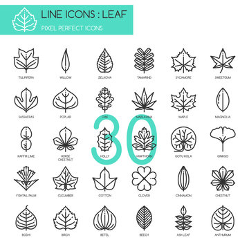 Leaf , thin line icons set ,pixel perfect icon