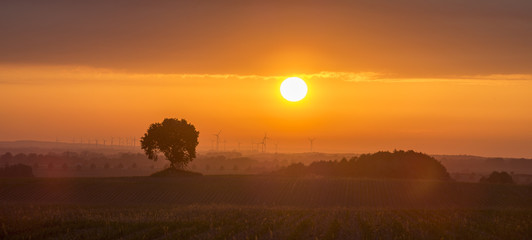 Zachód słońca nad polem,samotne drzewo i wieża myśliwska © Mike Mareen
