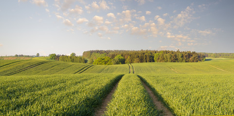 Wiosna na polach uprawnych w Polsce