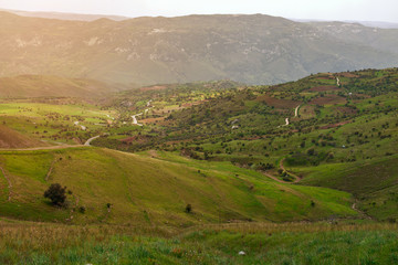 Obraz premium Green hills and the road