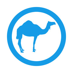 Icono plano camello en circulo color azul