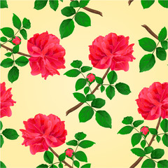 Seamless texture twig red rose  with leaves and bud vector illustration