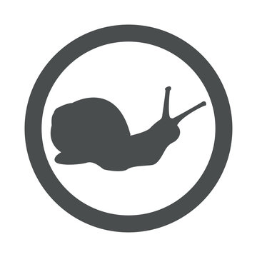 Icono plano caracol en circulo color gris