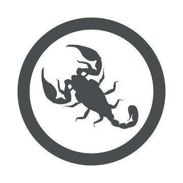 Icono plano escorpion en circulo color gris