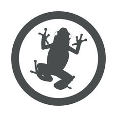 Icono plano rana en circulo color gris