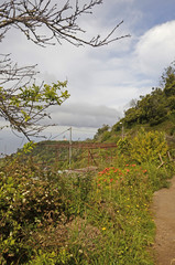 Vallée de Serra d’Agua : randonnée le long des levadas (Madère)