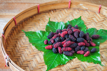 Mulberry in threshing basket on wooden background