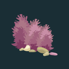 Seaweed, isolated colorful corals and algae, Vector underwater flora, fauna.