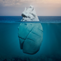 View of iceberg above and below the water surface © rasica