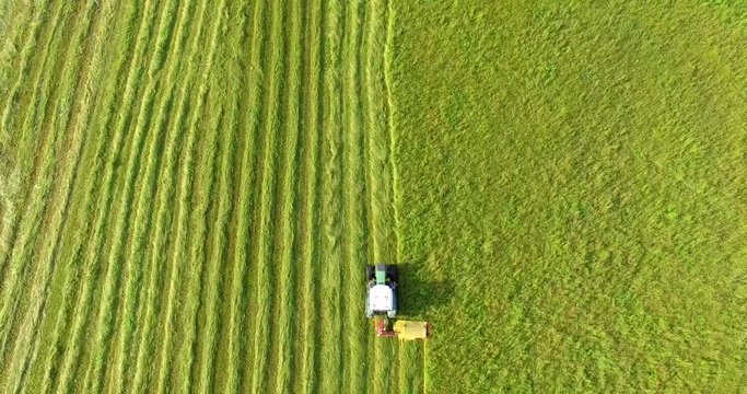 Aerial 4k - Taglio e lavorazione del foraggio 