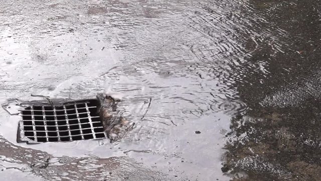 Rain Water Flowing Down in to Storm Drain