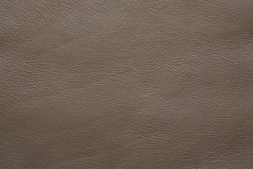 leather taupe