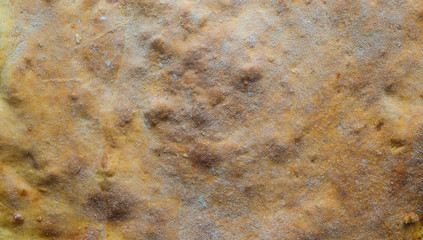 crust fresh apple pie closeup