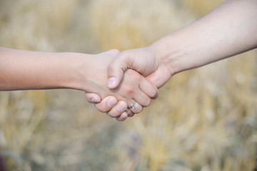 Handshake at the harvest on wheat field background