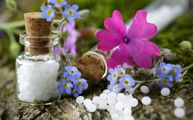  Globuli mit Blüten auf Moos und Rinde