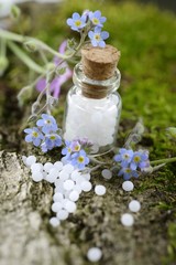  Globuli mit Blüten auf Moos und Rinde