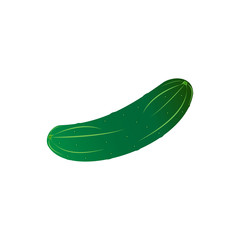 Cucumber isolated on white background.