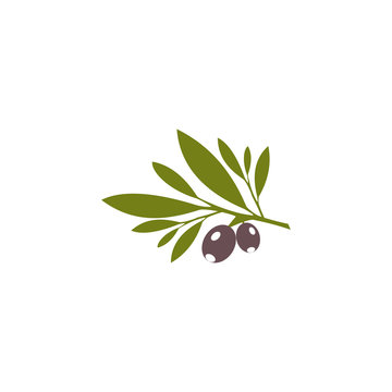 olive branches