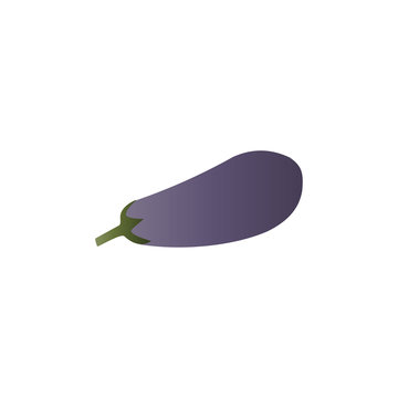 Eggplant vector illustration.
