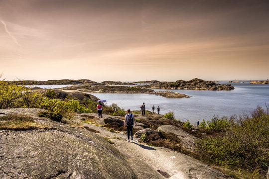 G&ouml;teborger Sch&auml;rengarten - Styrs&ouml;, Schweden.
