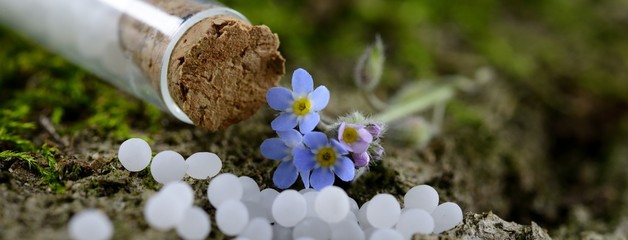  Globuli mit Blüten auf Moos und Rinde