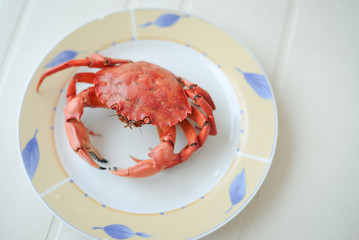 Top view of red tasty boiled crab on plate background, delicious seafood, 