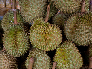 durian Thailand tropical fruit