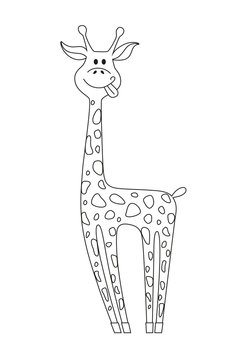 Vector black contour of giraffe