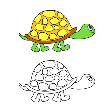 Vector  illustration and black contour of turtle