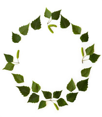 Fototapeta premium frame with green birch leaves on white background. flat lay
