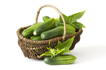 fresh cucumbers in a basket on white background © Miroslawa Drozdowski