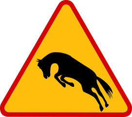 Koń w ruchu © fotodrobik