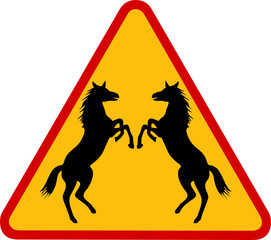 Konie w skoku © fotodrobik