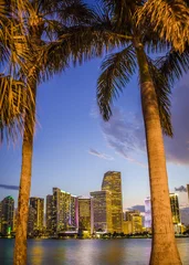 Keuken spatwand met foto Miami, Florida skyline and bay at sunset seen through palm trees  © littleny