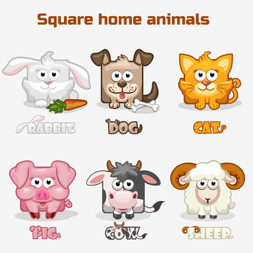cute cartoon square Home animals