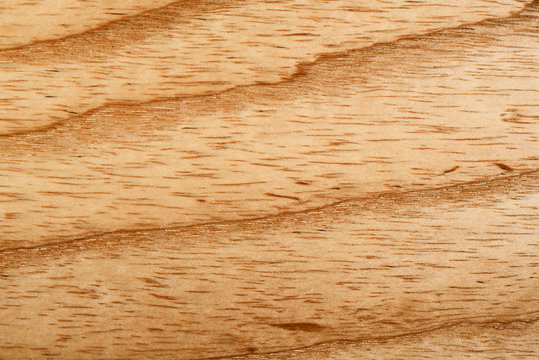 ash wood grain texture
